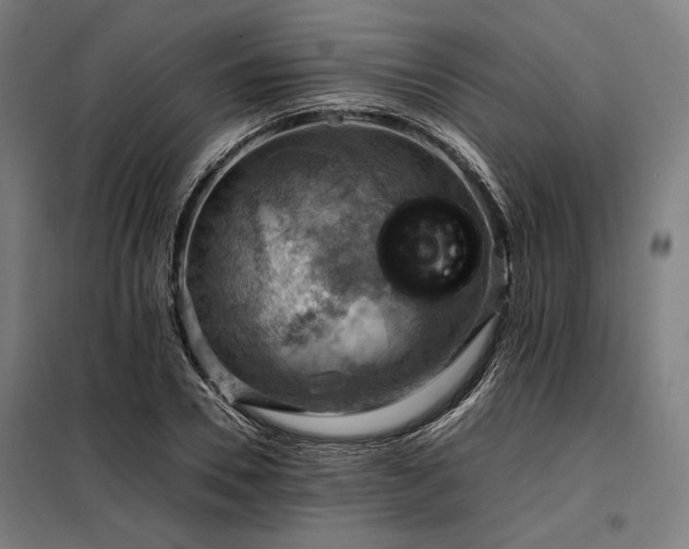 X0000098000930200804021028
