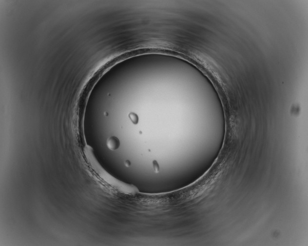 X0000098000931200804021028