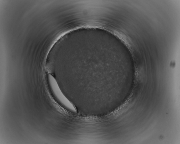 X0000098000934200804021028
