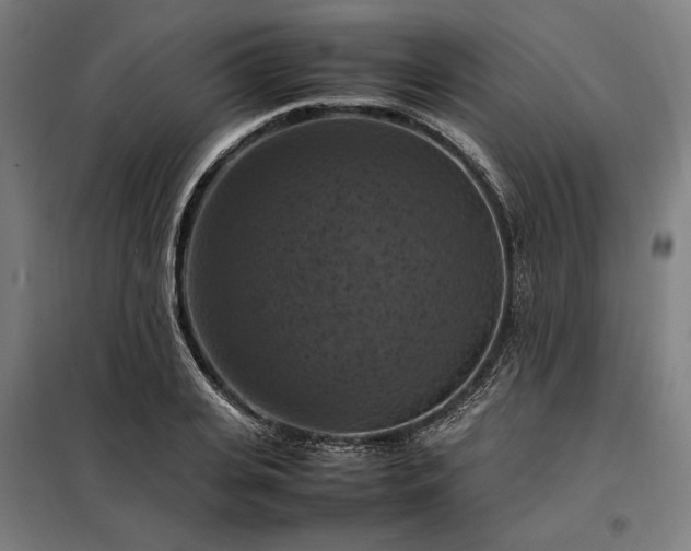 X0000098000935200804021028
