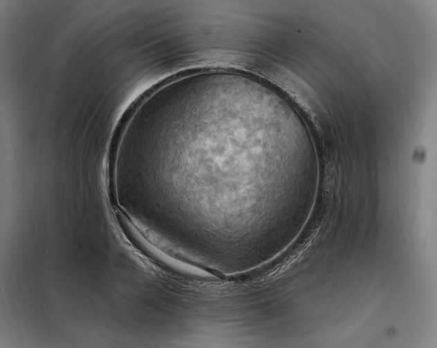 X0000098000936200804021028