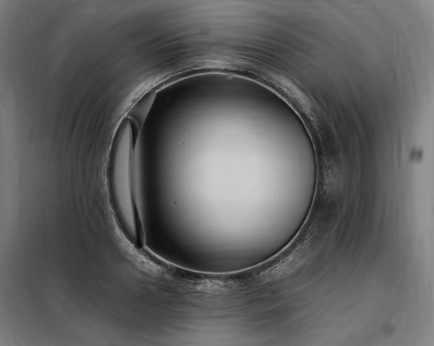 X0000098000938200804021028