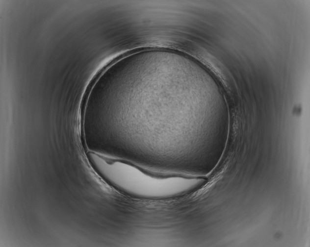 X0000098000940200804021028