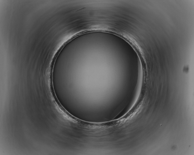 X0000098000941200804021028