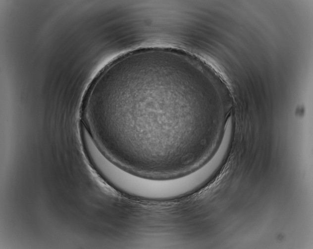 X0000098000942200804021028
