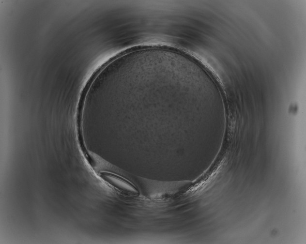 X0000098000943200804021028