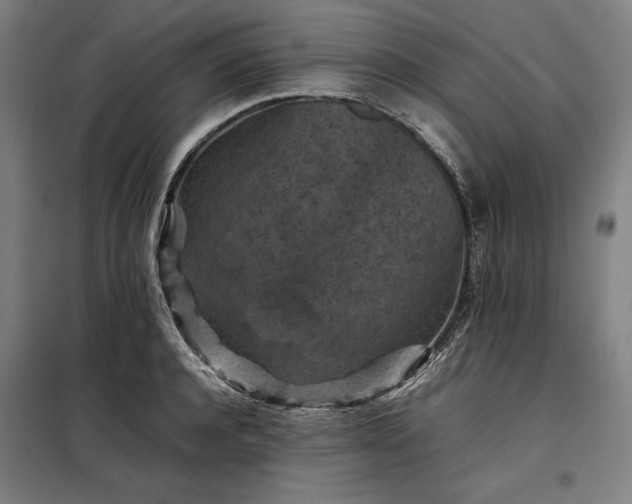 X0000098000944200804021028