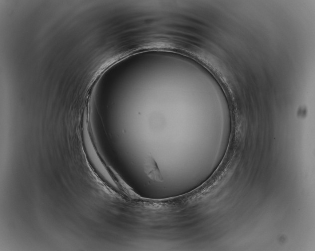 X0000098000945200804021028