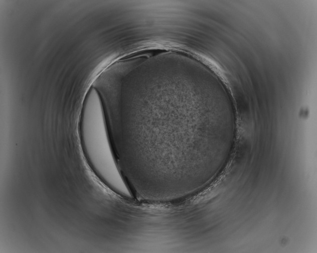 X0000098000946200804021028