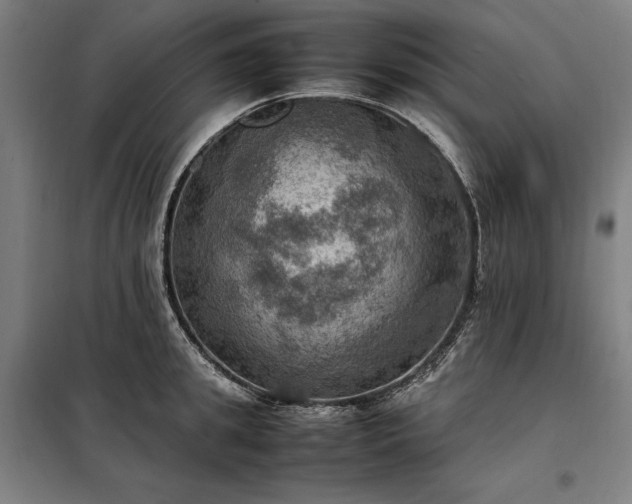 X0000098000949200804021028