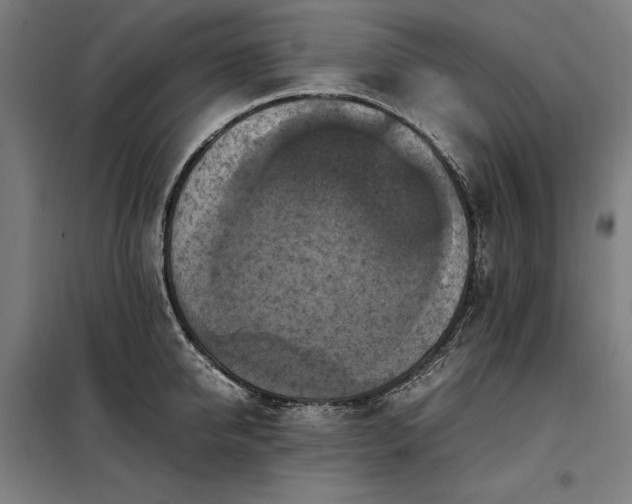 X0000098000950200804021028