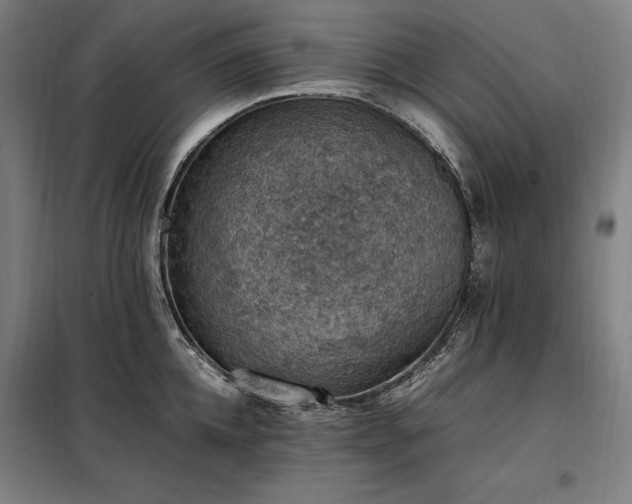 X0000098000952200804021028
