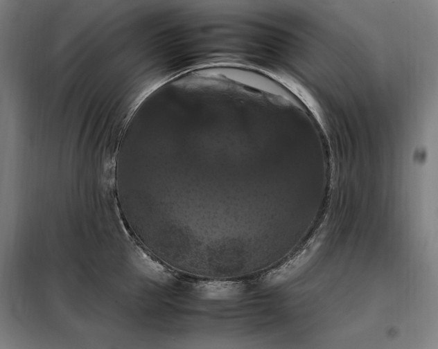 X0000098000953200804021028