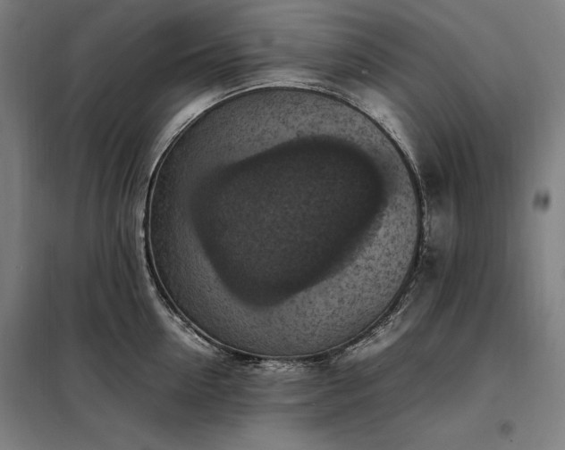 X0000098000954200804021028