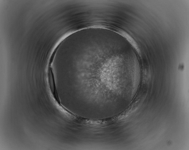 X0000098000955200804021028