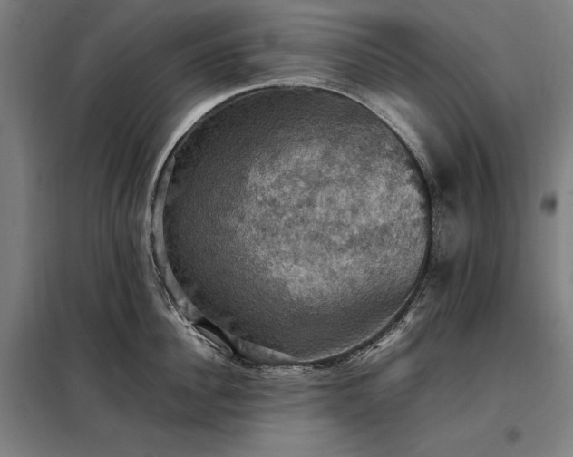 X0000098000956200804021028