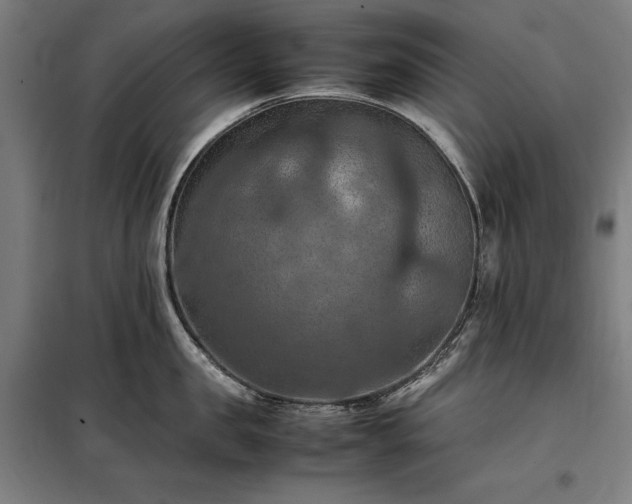 X0000098000957200804021028