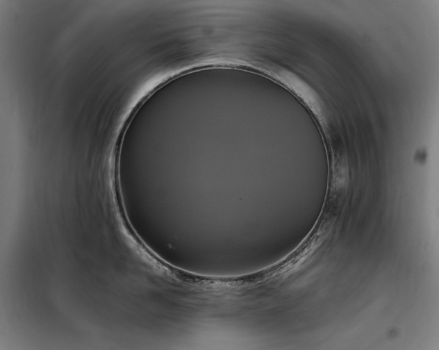 X0000098000958200804021028