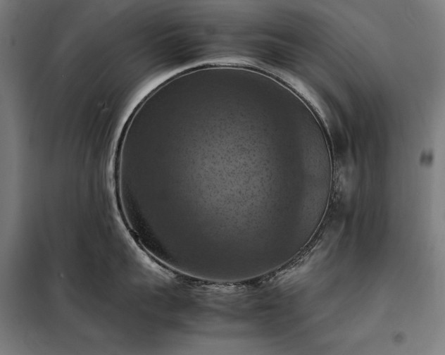 X0000098000959200804021028
