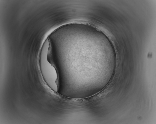 X0000098000960200804021028
