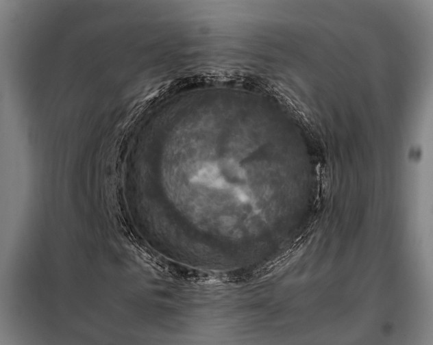X0000098000961200804021028