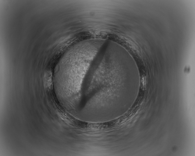 X0000098000963200804021028