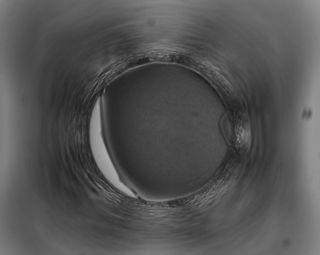 X0000098000964200804021028