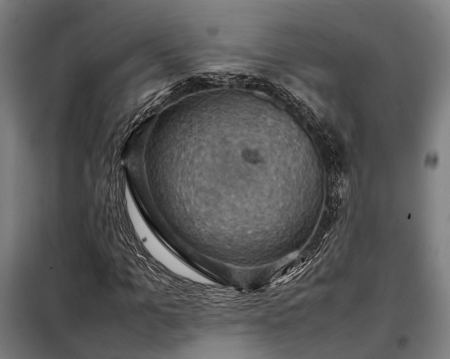 X0000098000965200804021028