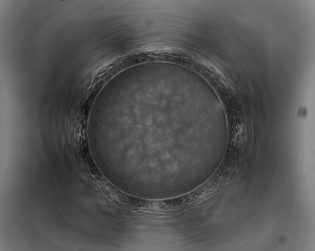 X0000098000966200804021027