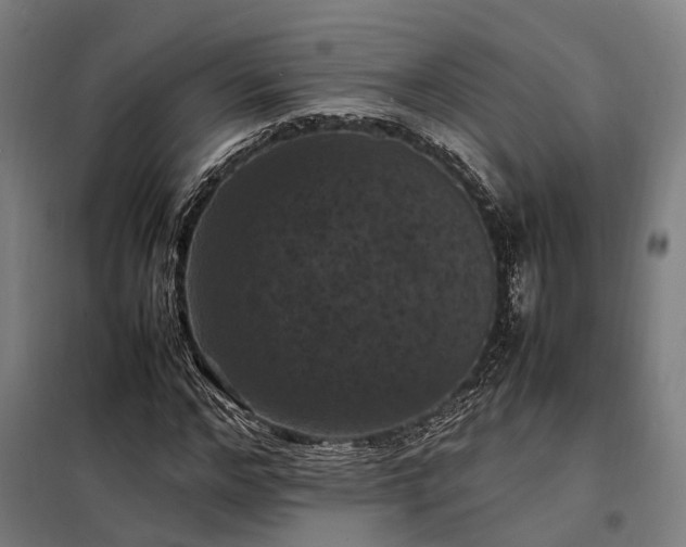 X0000098000968200804021027