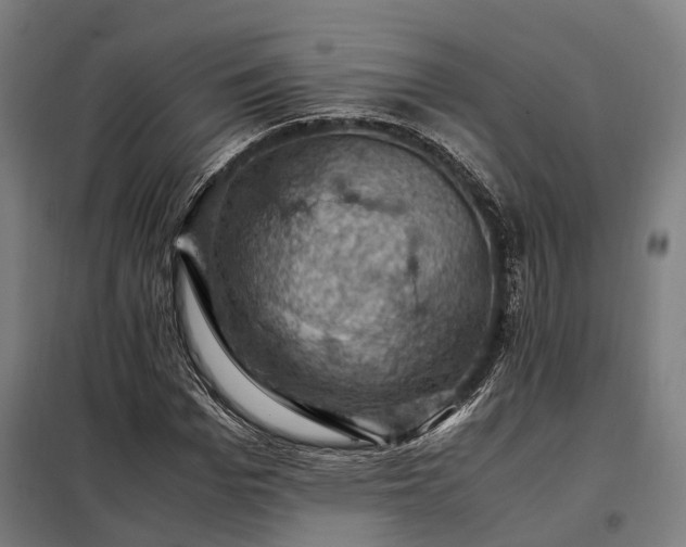 X0000098000969200804021027