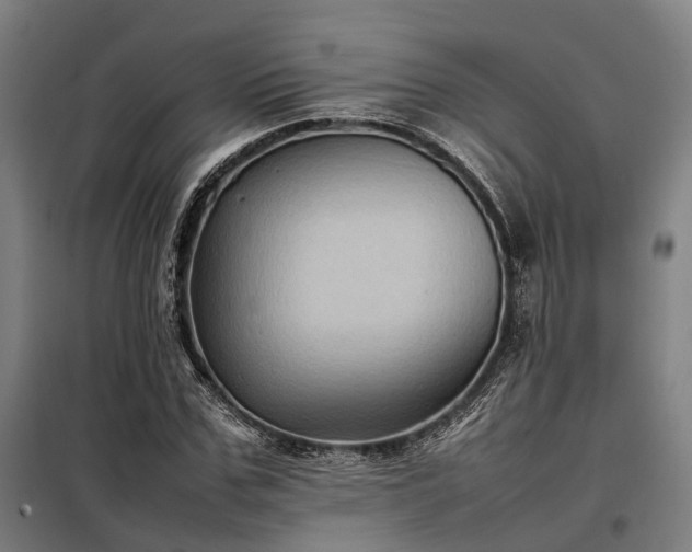 X0000098000971200804021027