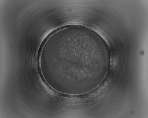 X0000098000972200804021027