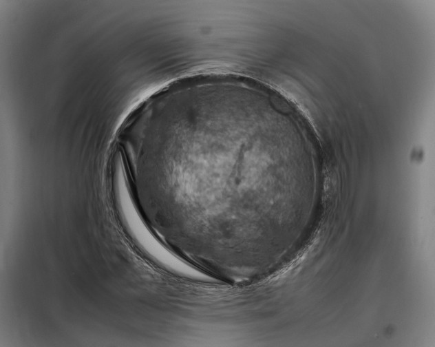 X0000098000973200804021027