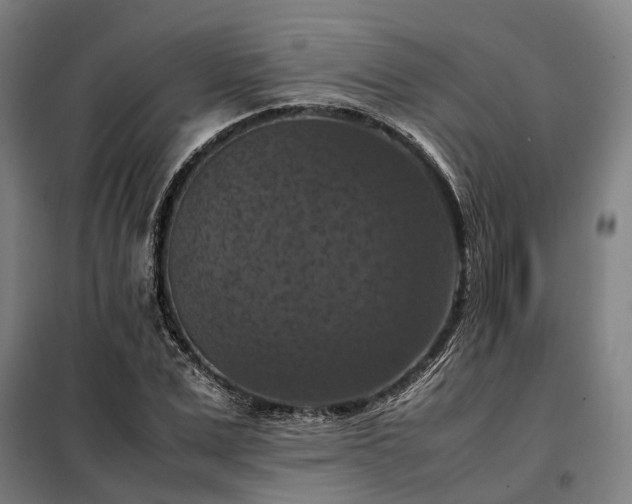 X0000098000975200804021027