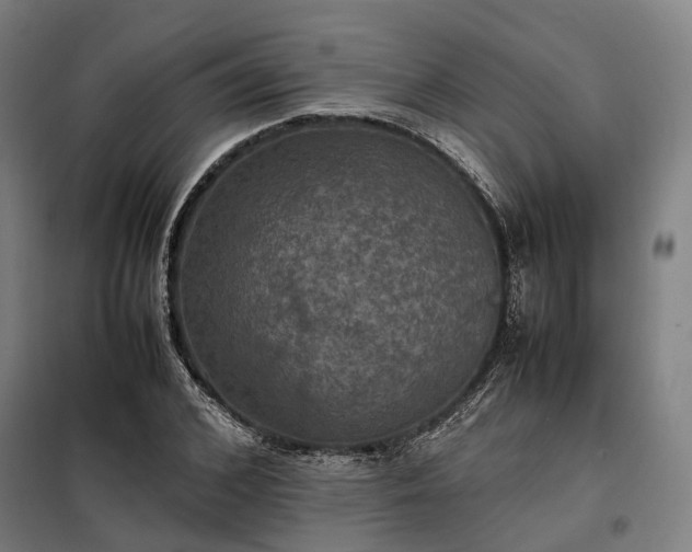 X0000098000976200804021027