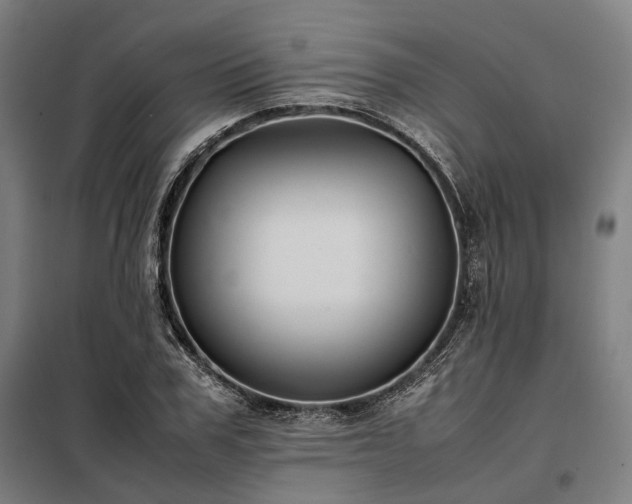 X0000098000979200804021027