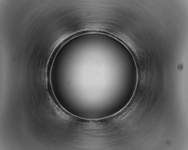 X0000098000980200804021027