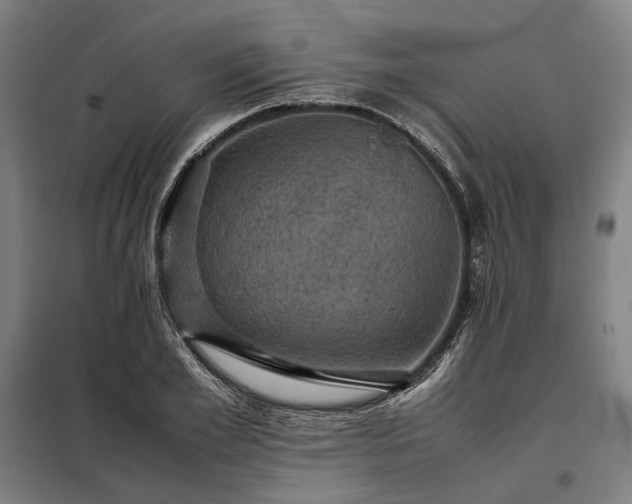 X0000098000981200804021027