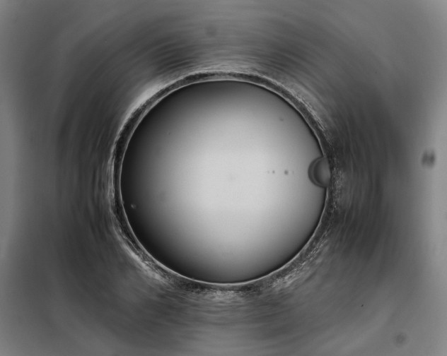 X0000098000982200804021027