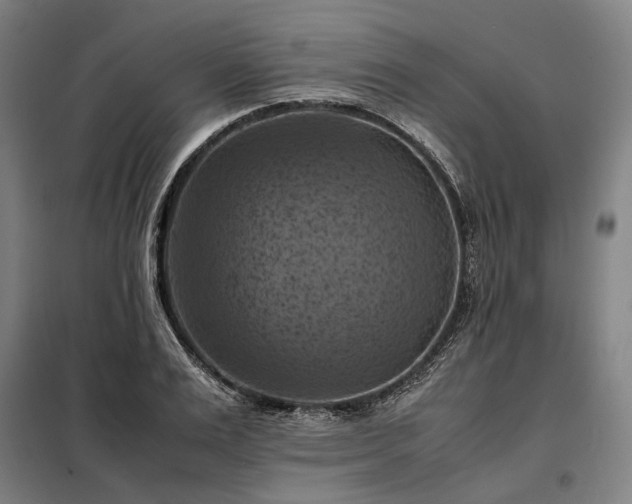 X0000098000983200804021027