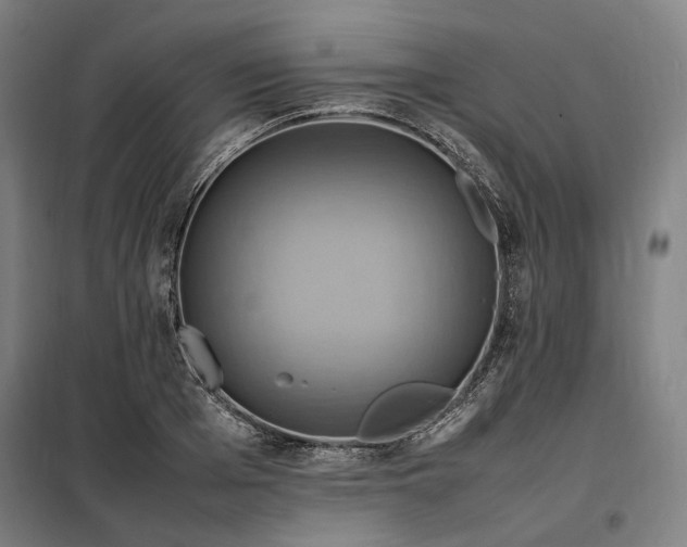 X0000098000985200804021027