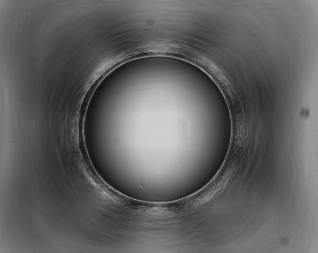 X0000098000986200804021027