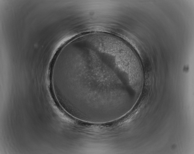 X0000098000987200804021027
