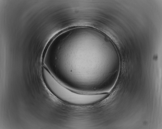 X0000098000988200804021027