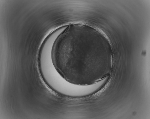 X0000098000989200804021027