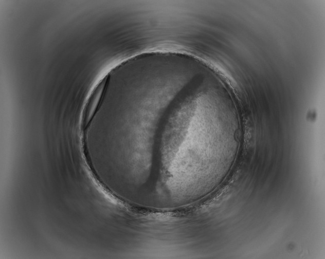 X0000098000990200804021027