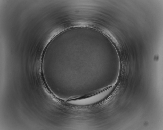 X0000098000994200804021027