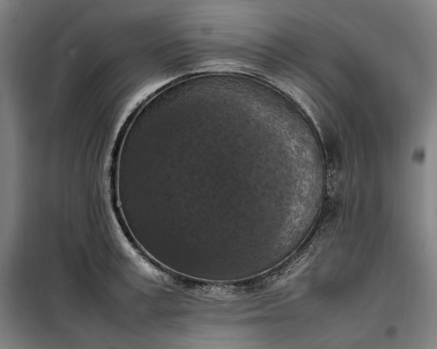 X0000098000995200804021027