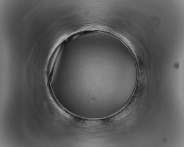 X0000098000997200804021027
